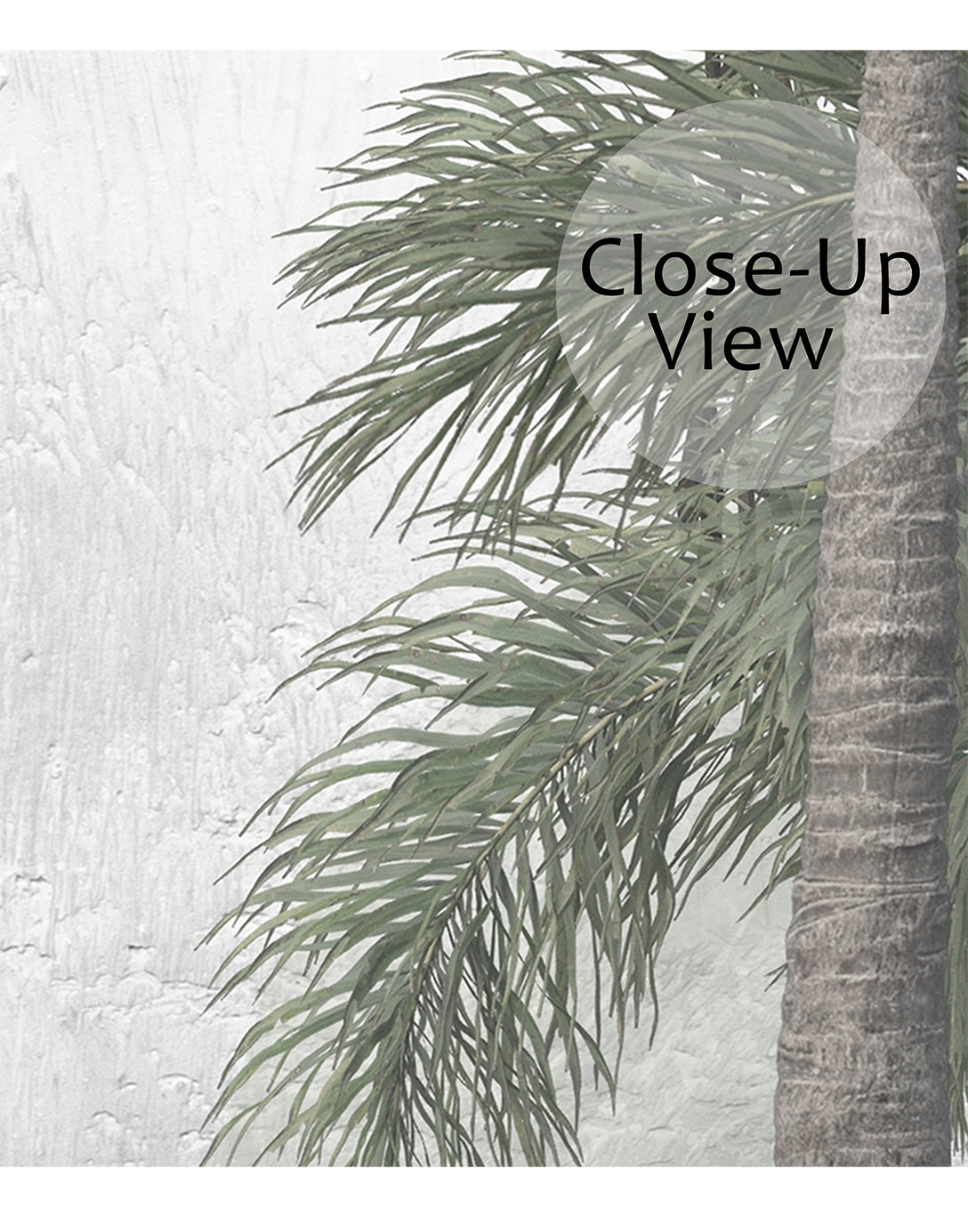 Vibrant Mystic Jungle Tropical Wall Mural CCM087 - Perfect for Living Room, Bedroom, and Office Decor