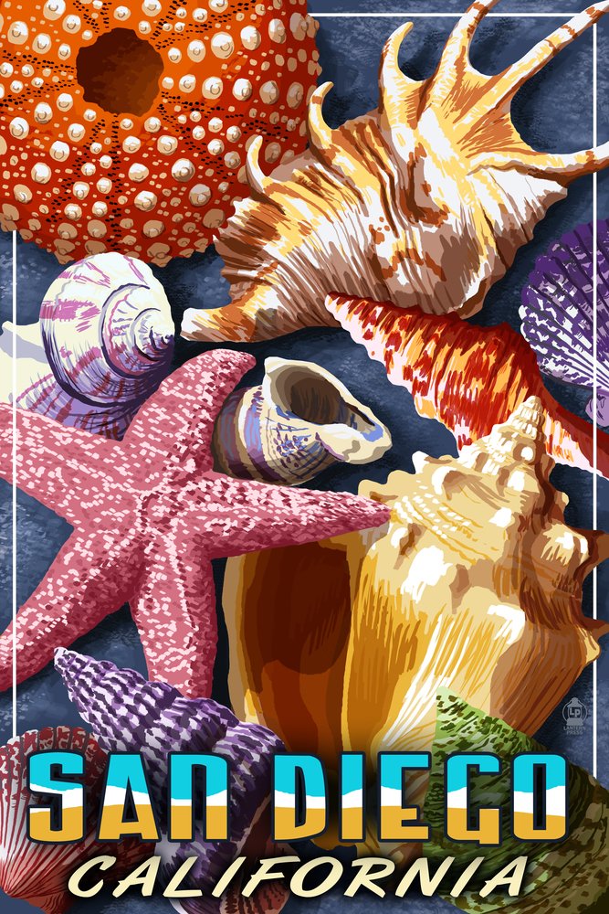 San Diego California Shell Montage - 16x24 Gallery Quality Metal Wall Art, Aluminum Home Decor for Beach House, Living Room & Office