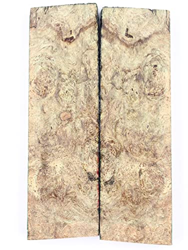 Maple Burl - AP6089