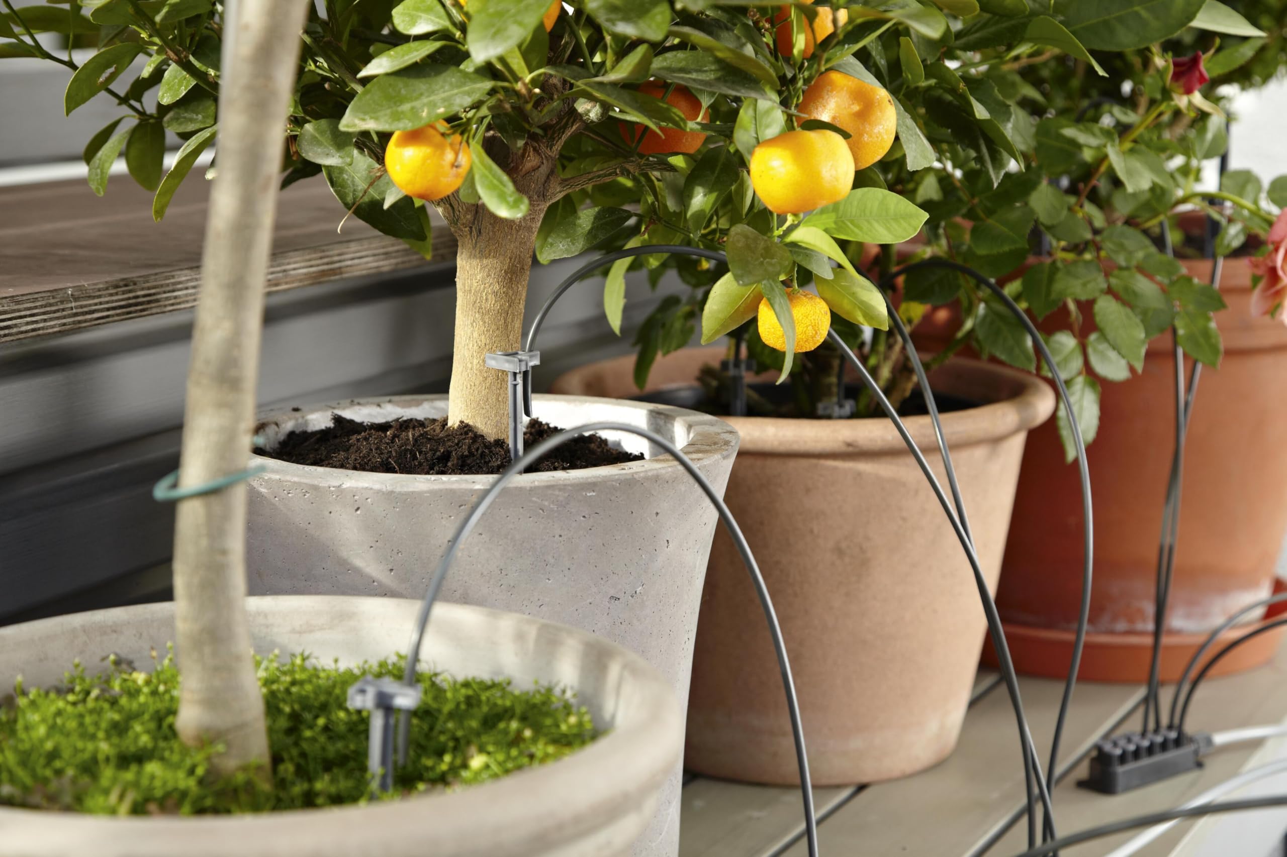 **Gardena City Gardening Holiday Watering Set – Automatic Plant Watering System for Indoor & Outdoor Plants – Waters Up to 36 Plants (Model 1265-20) – Perfect for Vacation, Travel & Home Garden Care**