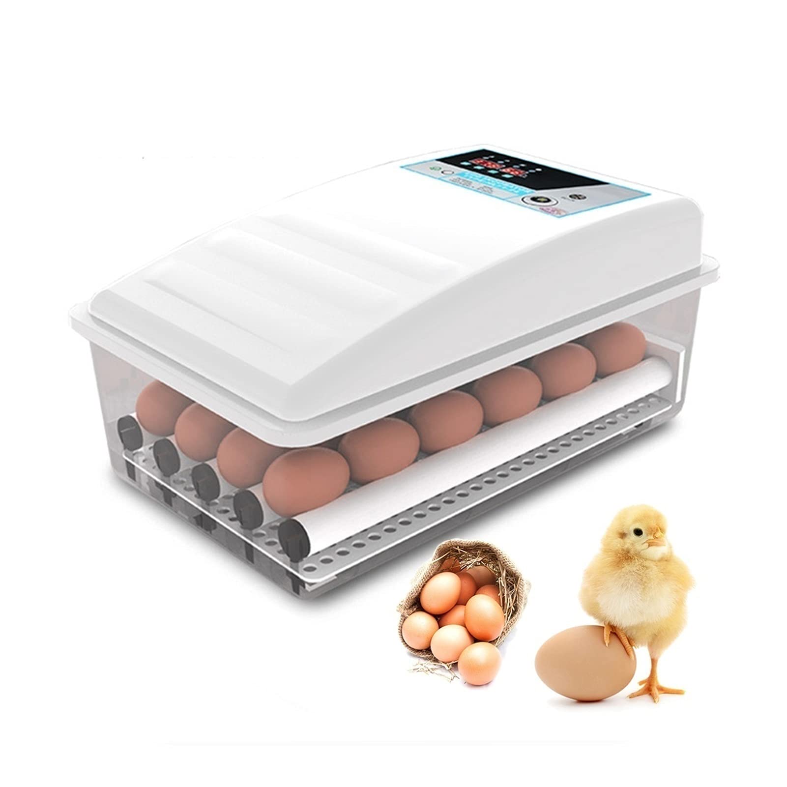 YAWEDA 6 Egg Automatic Turning Incubator with Digital LED Display & Temperature Control - Poultry Hatcher for Chickens, Ducks, Geese & Birds (Dual Power Supply) - Perfect for Home Farming, Classroom Projects & Backyard Poultry Breeding