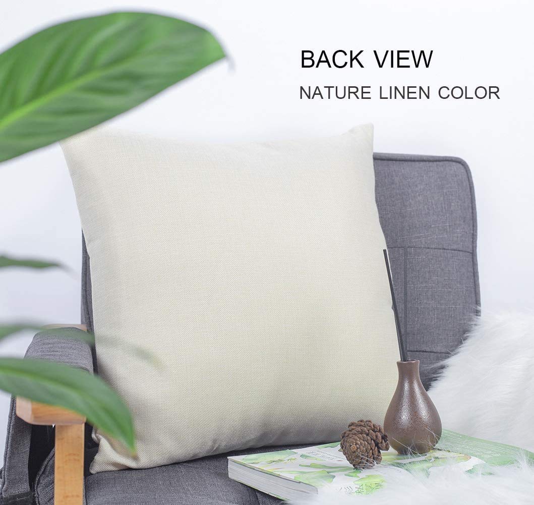 Decorative Square Throw Pillow Cover 18x18 Inches - Orange Asio Screech Owl with White Feathers, Amber Eyes & Red Beak - Wildlife Animal Bird Camo Linen Pillowcase for Living Room, Bedroom & Home Decor - Cozy Nature-Themed Cushion Cover