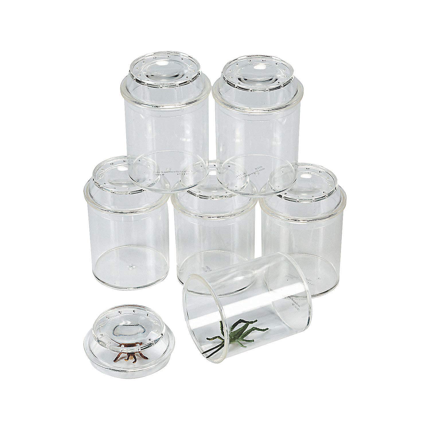 Fun Express Clear Bug Observation Jars Set - 10 Pieces for Kids Science & Nature Exploration - Insect Catching Kit for Outdoor Adventures & Educational Learning Activities - Perfect for Backyard Exploration, Classroom Projects & STEM Learning