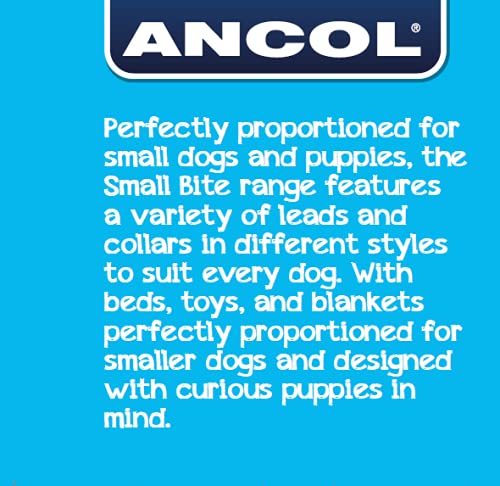 Ancol Small Bite Heart Collar & Lead Set - Adjustable 20-30cm for Dogs