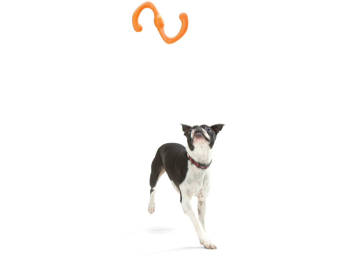 Durable Bumi Dog Tug Toy for Large & Small Dogs - Interactive Chew Rope for Aggressive Chewers - Perfect for Playtime, Training & Bonding with Your Pet