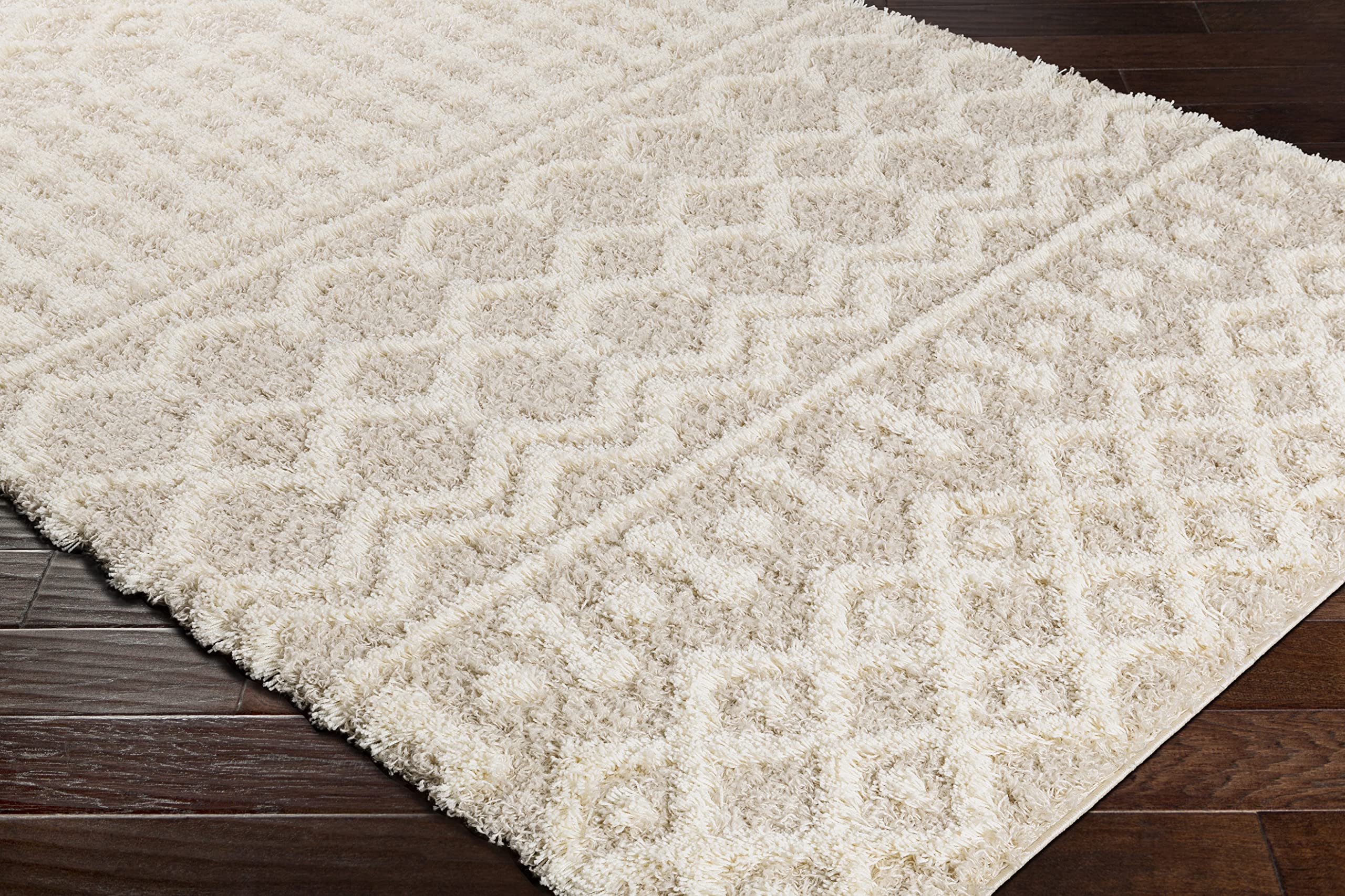 Livabliss Hapsburg Moroccan Shag Area Rug - 7'10