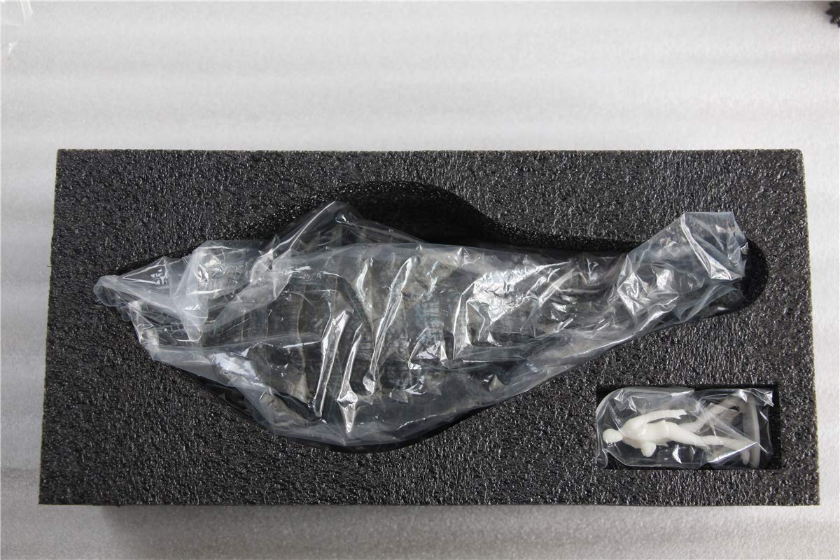 1/35 Scale Ankylosaurus Dinosaur Model - Realistic PVC Ankylosauridae Collector Toy for Adults | Blue Dinosaur Figure for Home Decor, Office Display & Dinosaur Enthusiast Gift