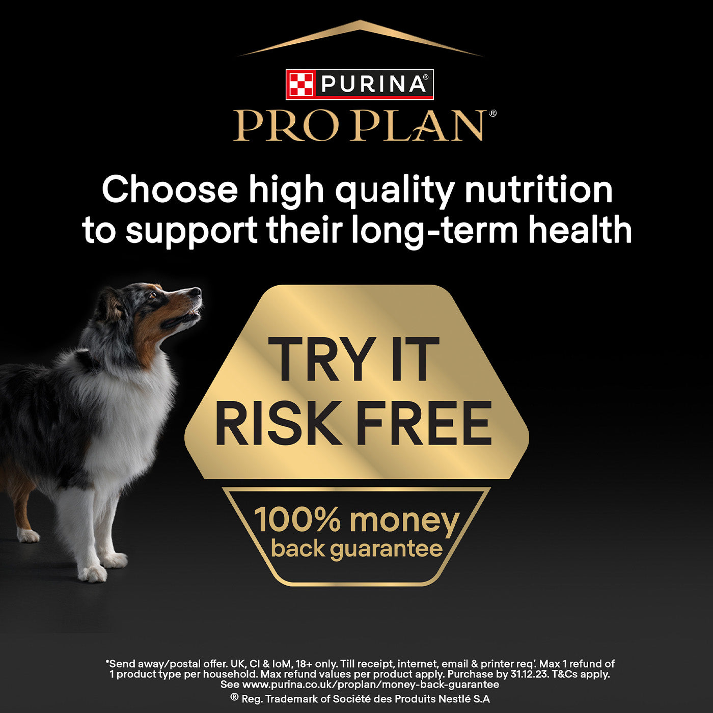PRO PLAN Puppy Dry Dog Food for Sensitive Digestion - OPTIDIGEST Turkey Formula (12KG) | All Sizes | Ideal for Puppies with Digestive Issues | Perfect for Growing Dogs with Sensitive Stomachs
