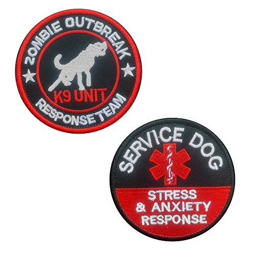 K9 Anxiety