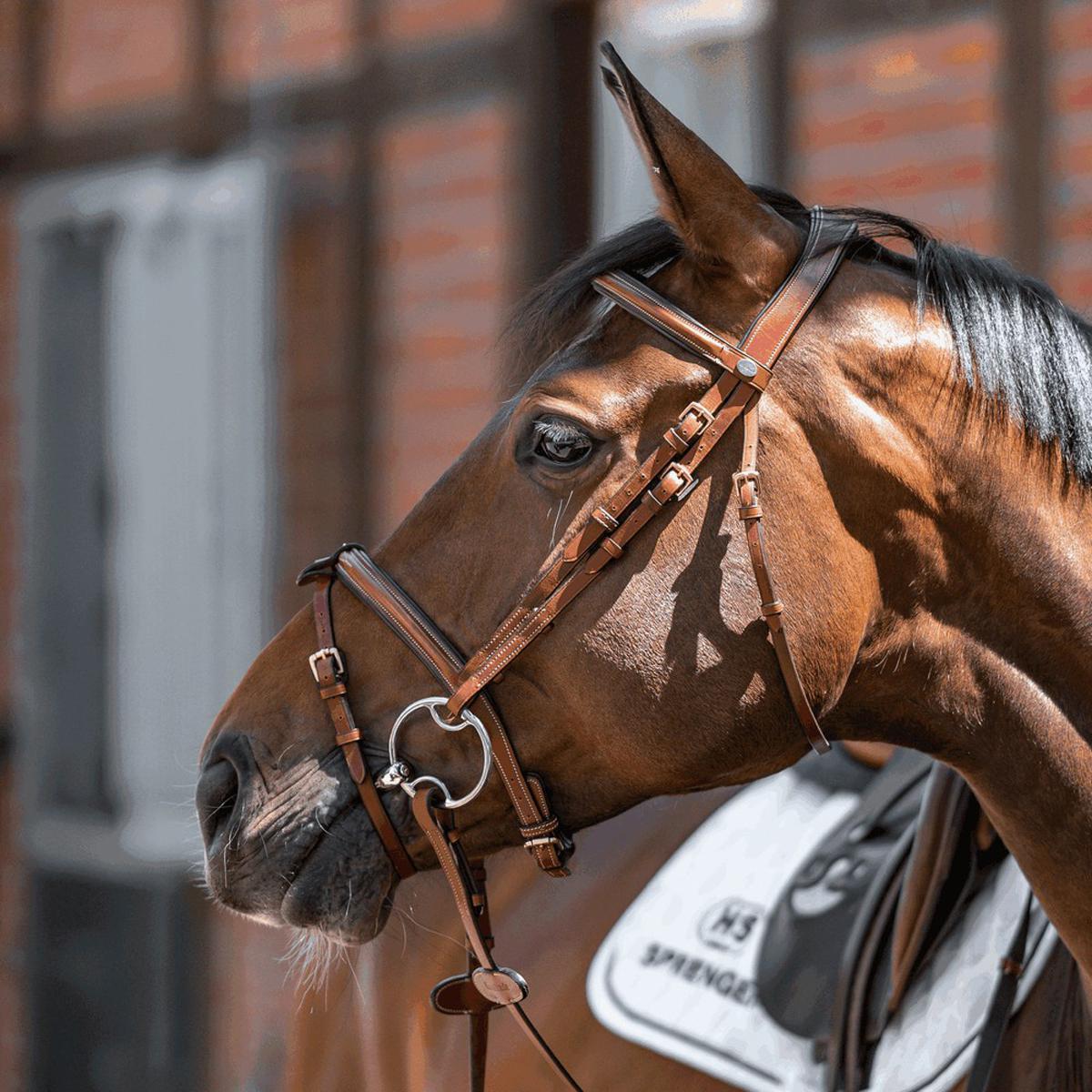 Herm Sprenger Dynamic RS Sensogan Double Jointed Multi Ring Snaffle Bit for Horses - Gentle Training & Dressage Riding - Perfect for Young Horses & Sensitive Mouths