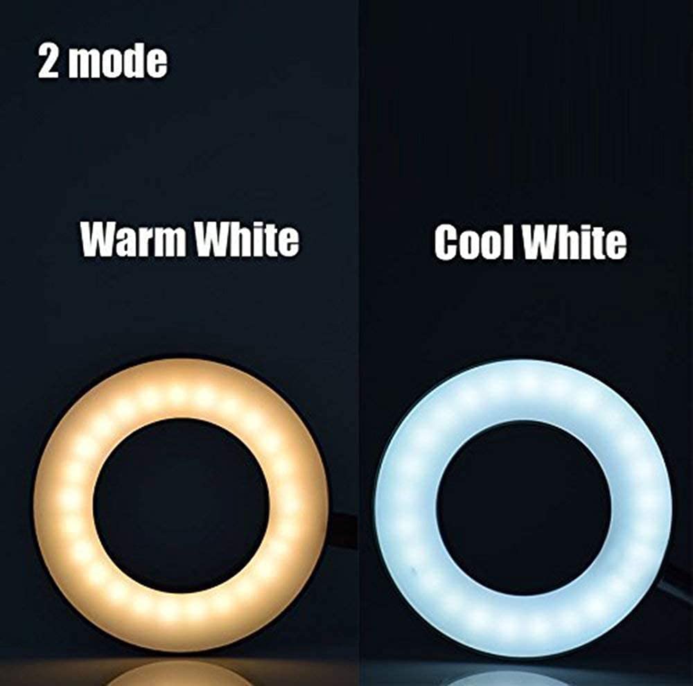 DINGLILIGHTING DLLT LED USB Reading Light Clip - Adjustable 2 Light Colors, Eye-Caring Desk Lamp for Laptop, Books, Piano, Bed Headboard - Includes Adapter | Perfect for Night Reading, Studying & Office Work