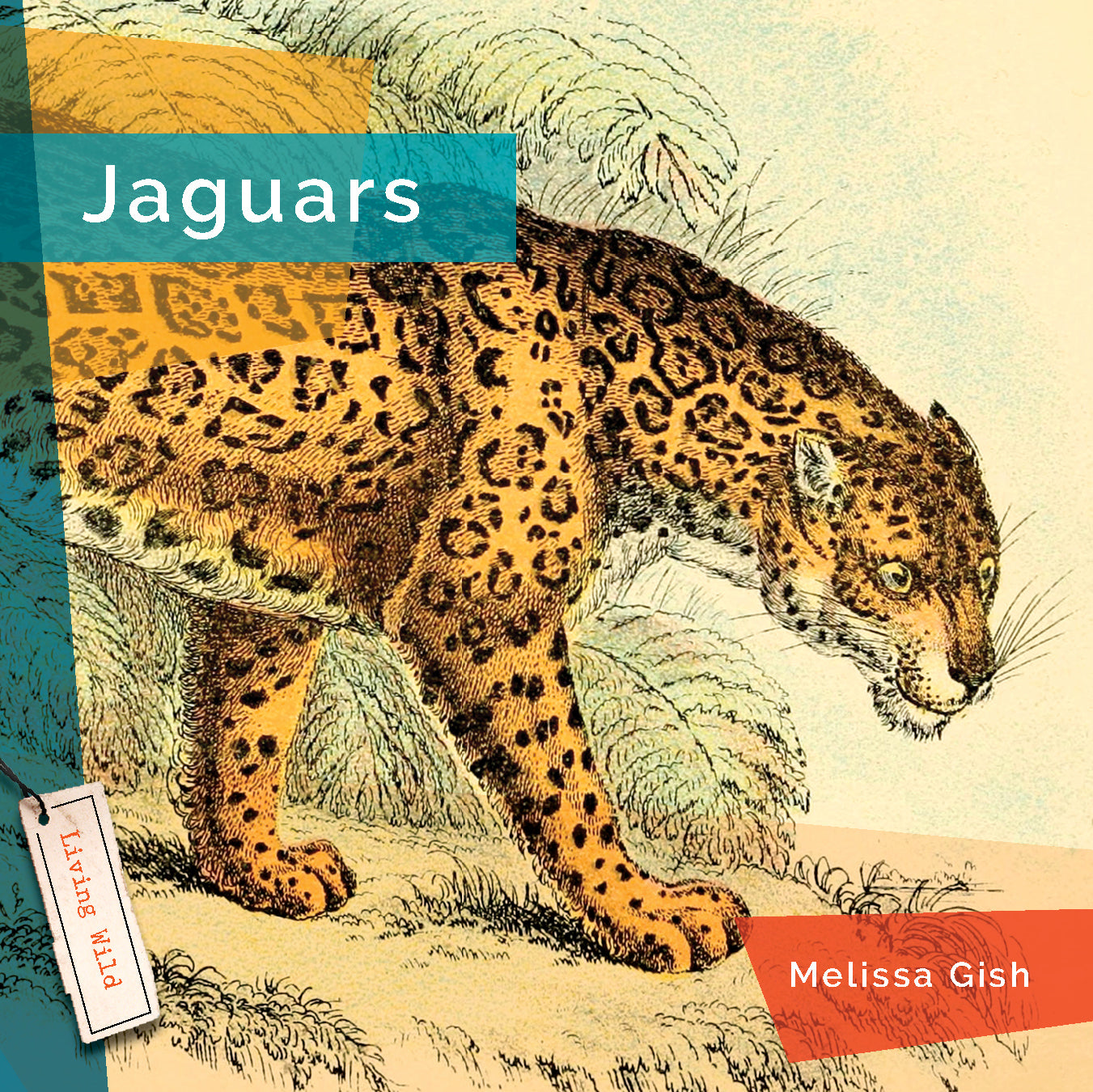 Jaguars Book 9781640266018 - Wildlife & Nature Guide for Animal Lovers & Students | Perfect for Research, Education & Gifts