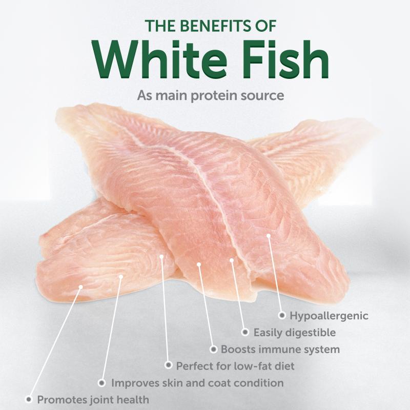 Premium Small & Mini Breed Dog Food with White Fish Protein - Supports Light Coat Health - Ideal for Adult Dogs at Home or Travel