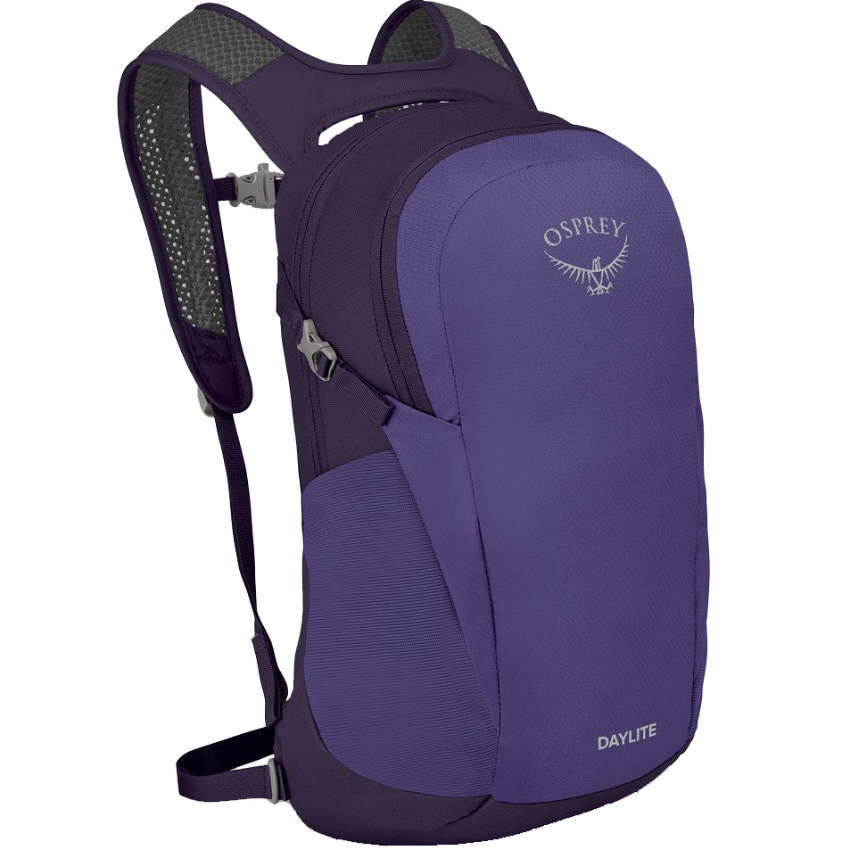 Dream Purple