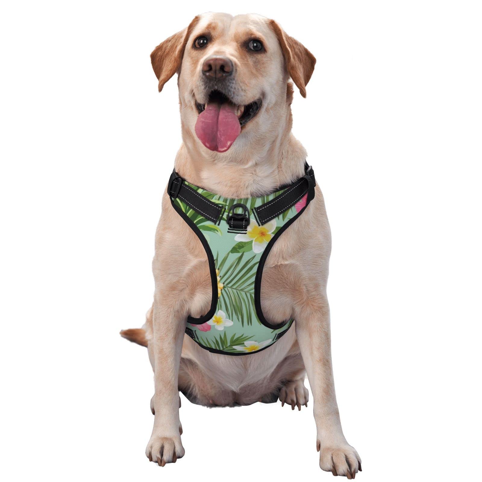 Breathable No-Pull Dog Harness with Leash - Soft Padded Escape-Proof Vest for Training & Outdoor Walking - Floral Hawaiian Pineapple Design - Perfect for Small, Medium & Large Dogs - Great for Hiking, Jogging & Daily Walks