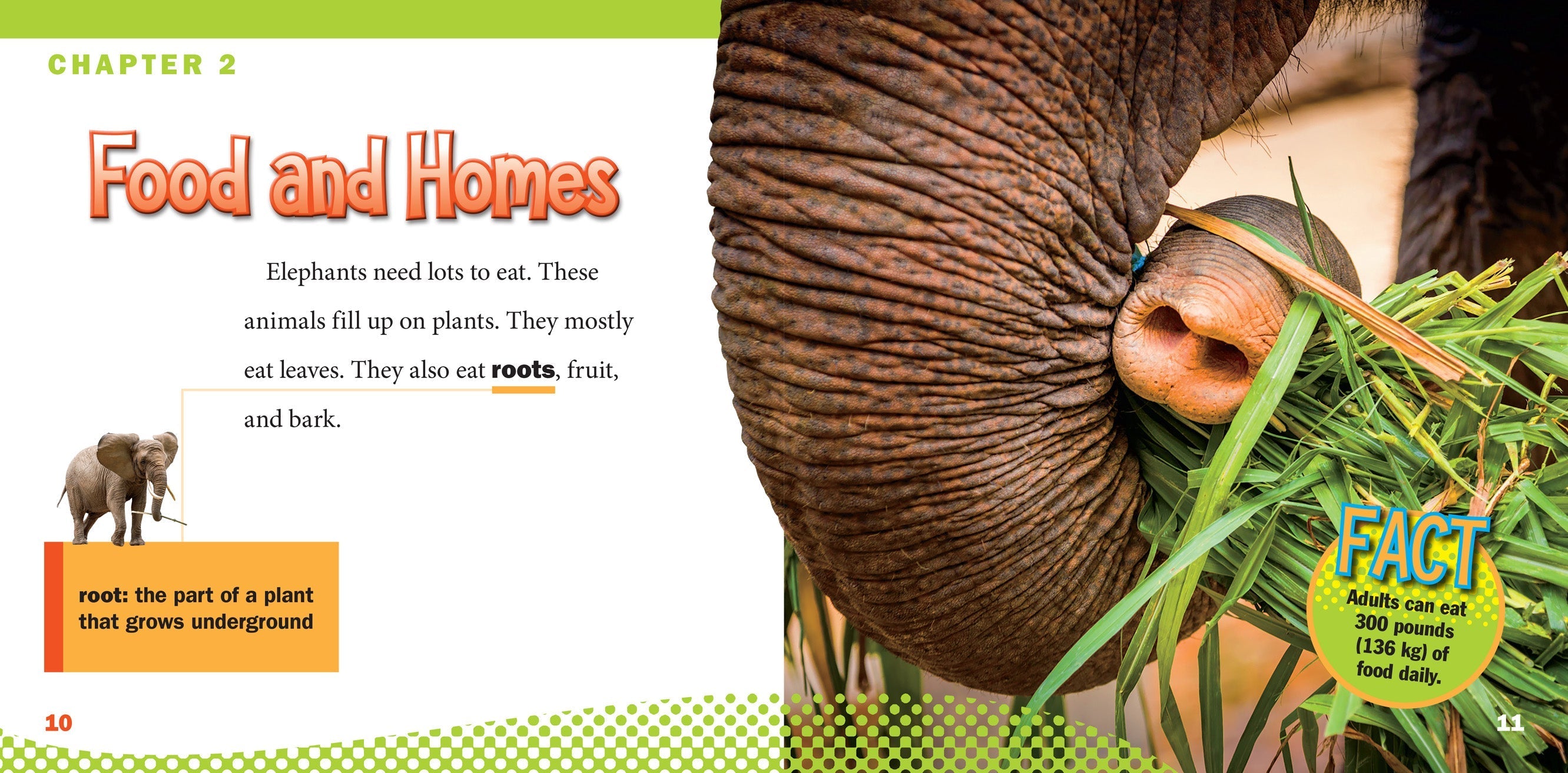 African Elephants - Handcrafted Wooden Elephant Statues for Home Decor & Gifts | Perfect for Living Room, Office & Safari-Themed Parties
