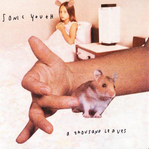 A Thousand Leaves Vinyl LP by Sonic Youth - Limited Edition Record for Music Collectors & Indie Rock Fans - Perfect for Home Listening & Vinyl Enthusiasts
