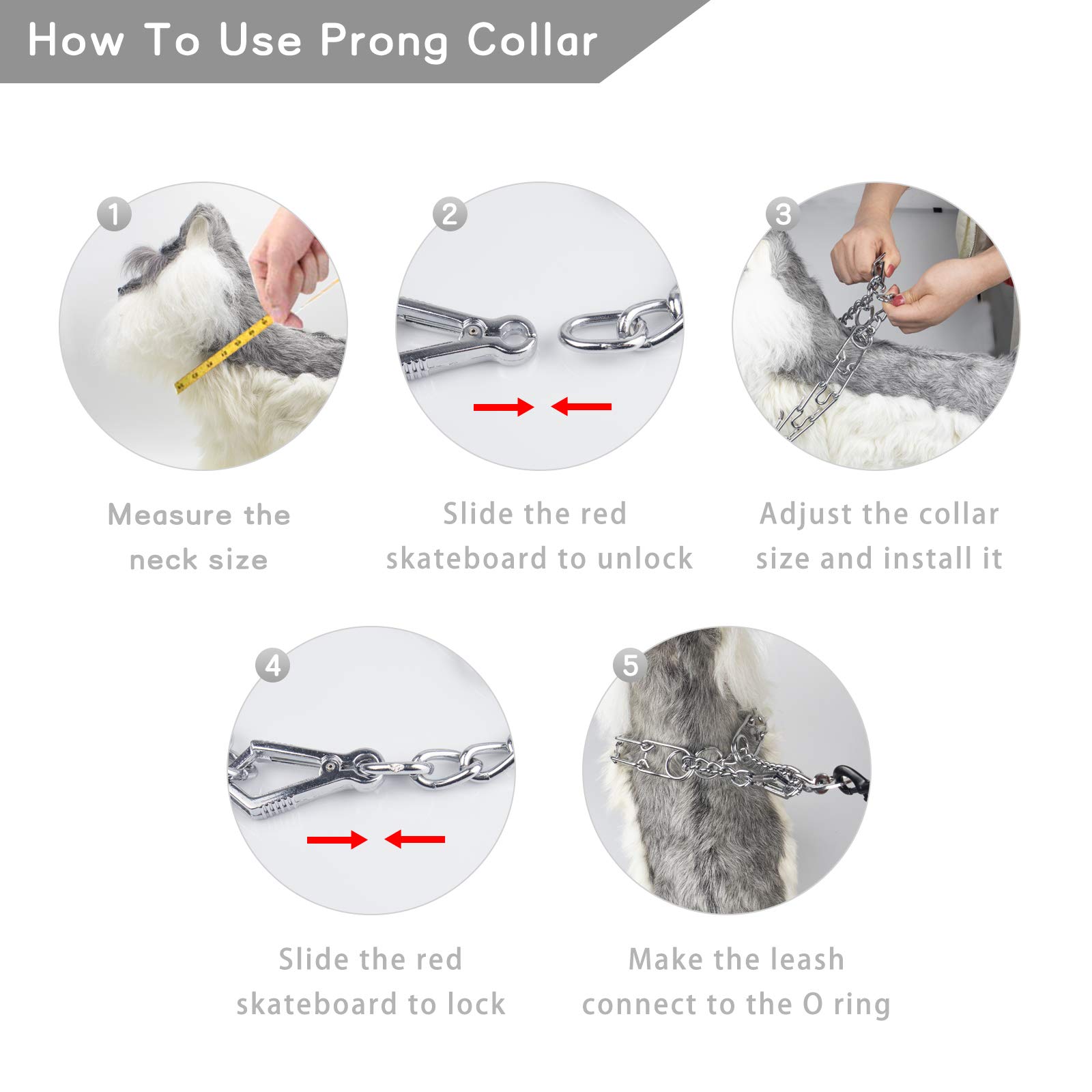 Premium Dog Prong Collar - Chrome Plated Quick-Release Training Collar for Small, Medium & Large Dogs | Adjustable Pinch Collar with Silver Plating | Perfect for Obedience Training, Behavior Correction & Daily Walks