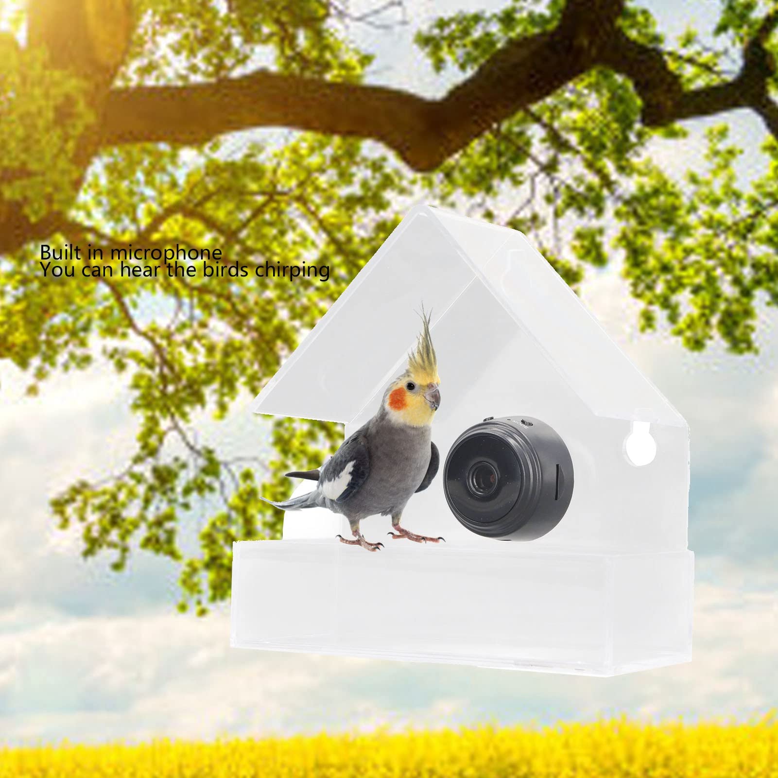 Smart Bird Feeder Camera with 720p HD Auto Capture, 170° Wide Angle & Night Vision - Wireless Outdoor Bird House Camera for Bird Watching - Perfect Gift for Nature Lovers & Backyard Wildlife Enthusiasts