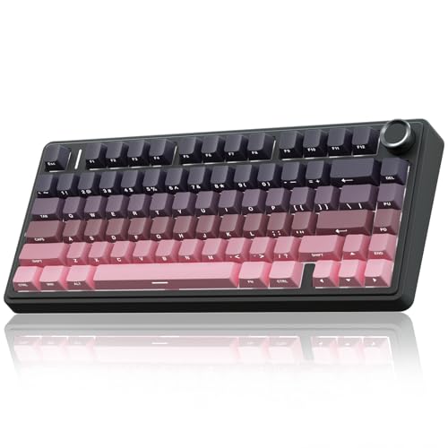 Schwarz Rosa