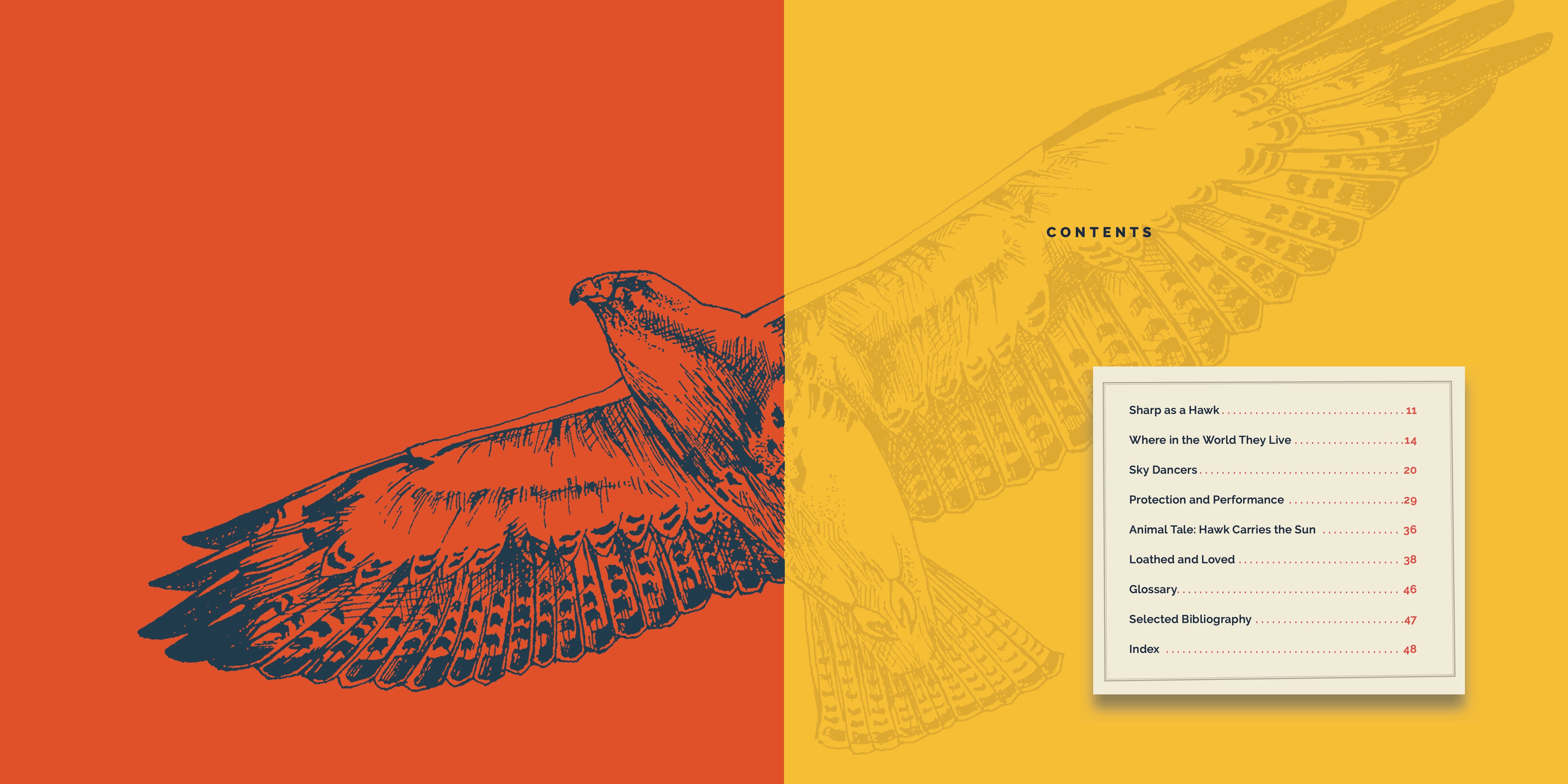 Hawks Book 9781640267855 - Wildlife Birds of Prey Guide for Bird Watching & Nature Enthusiasts | Perfect for Outdoor Adventures & Educational Gifts