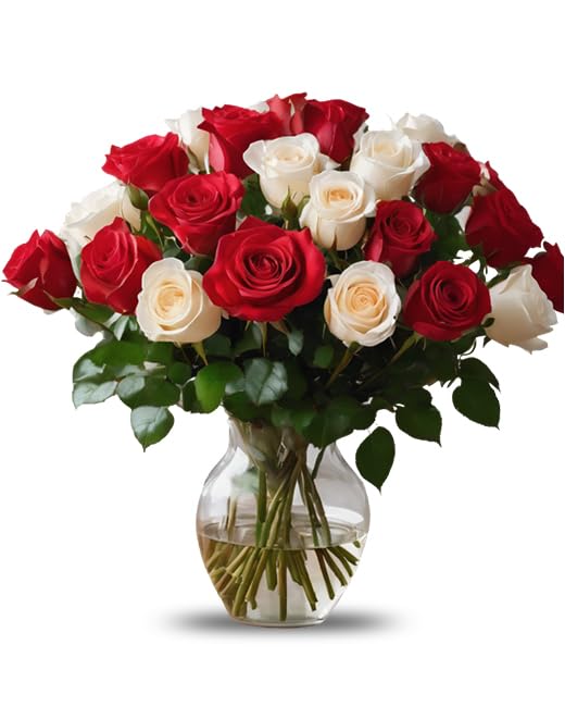 KaBloom PRIME NEXT DAY DELIVERY - 24 Red & White Roses Bouquet for Mother's Day, Birthday, Anniversary, Valentine's Day, Get Well Gift - Fresh Flower Arrangement for Holidays, Easter, Special Occasions - Perfect for Home Decor, Wedding Centerpieces & Romantic Surprises
