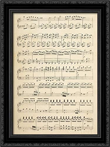 Canvas Art in a Black Ornate Wood Frame