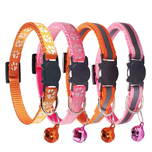 2 Pink + 2 Orange