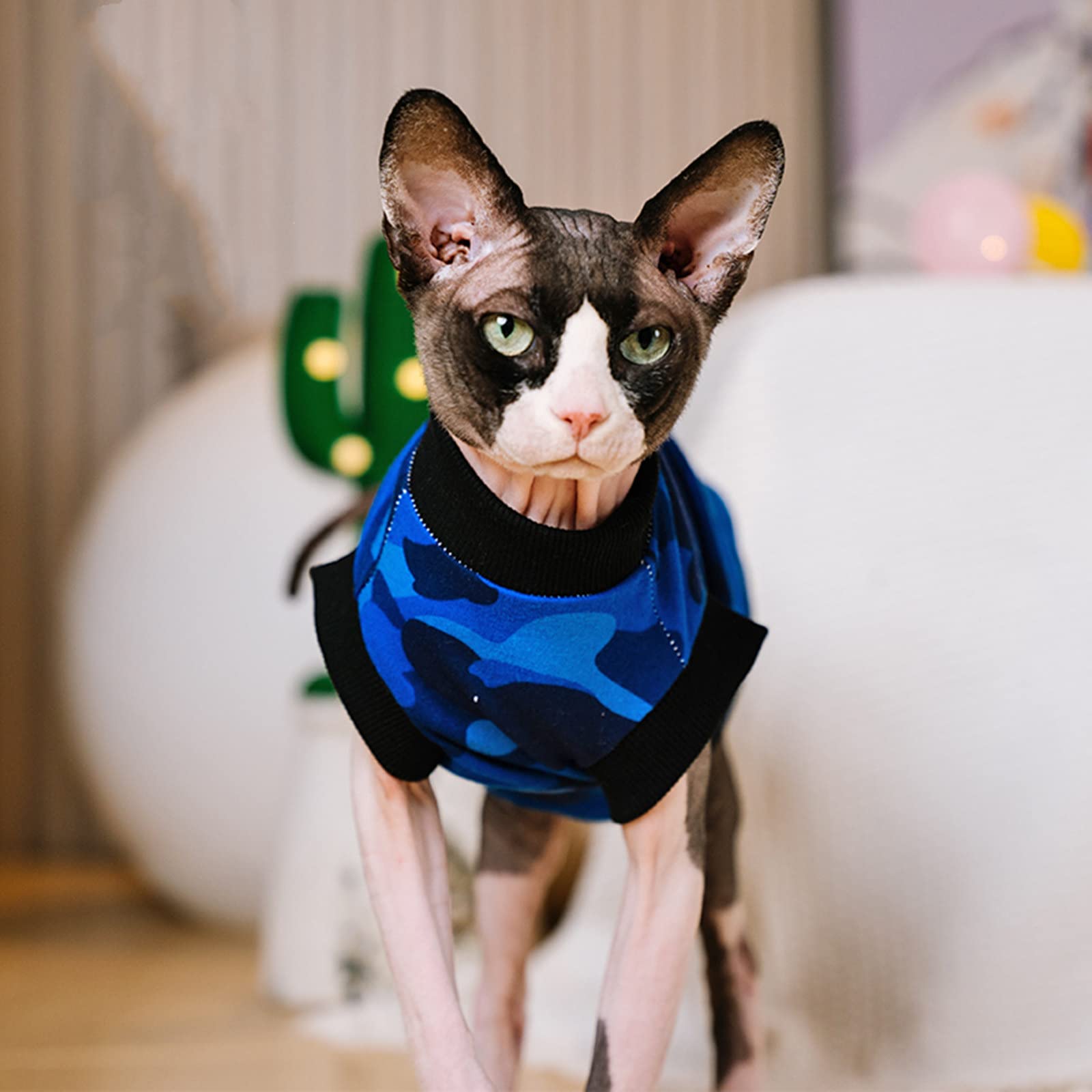 Sphynx Hairless Cat Summer Cotton T-Shirt - Breathable Pet Vest for Cats & Small Dogs | Round Neck Sleeveless Kitten Shirt | X-Large Blue Camo | Perfect for Outdoor Adventures & Photo Shoots