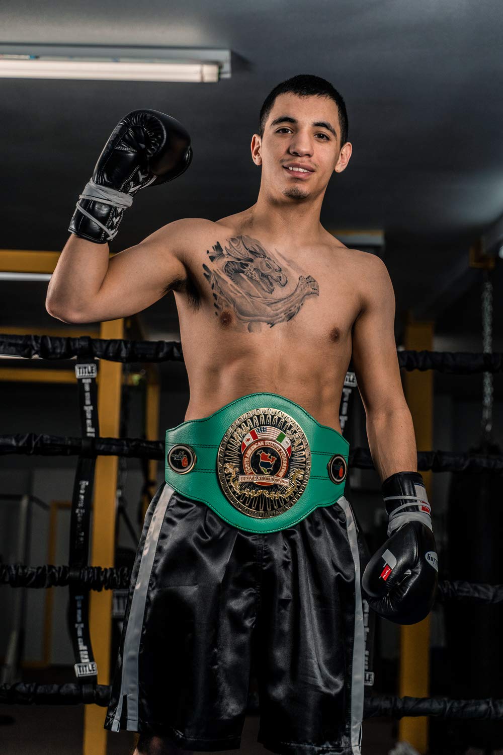 Fury Professional Lace-Up Boxing Gloves for Training, Sparring & Heavy Bag Work - Premium MMA & Muay Thai Gloves for Fighters & Athletes (Ideal for Gym, Competition & Home Workouts)