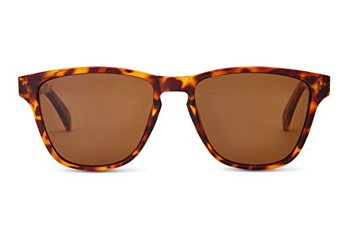 Tortoise / Amber