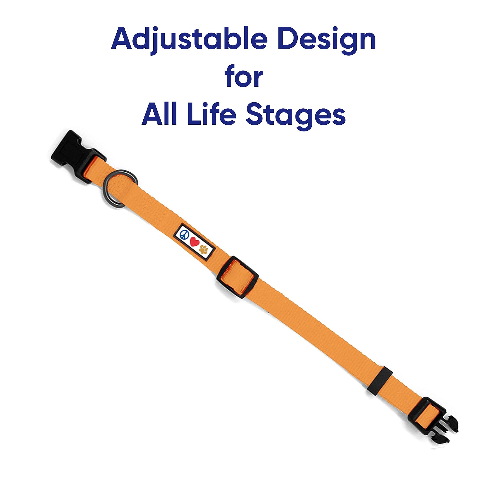 Pawtitas Small Dog Harness, Collar & 6ft Leash Value Bundle Set - Orange | Perfect for Small Breeds, Puppies & Daily Walks, Training & Outdoor Adventures