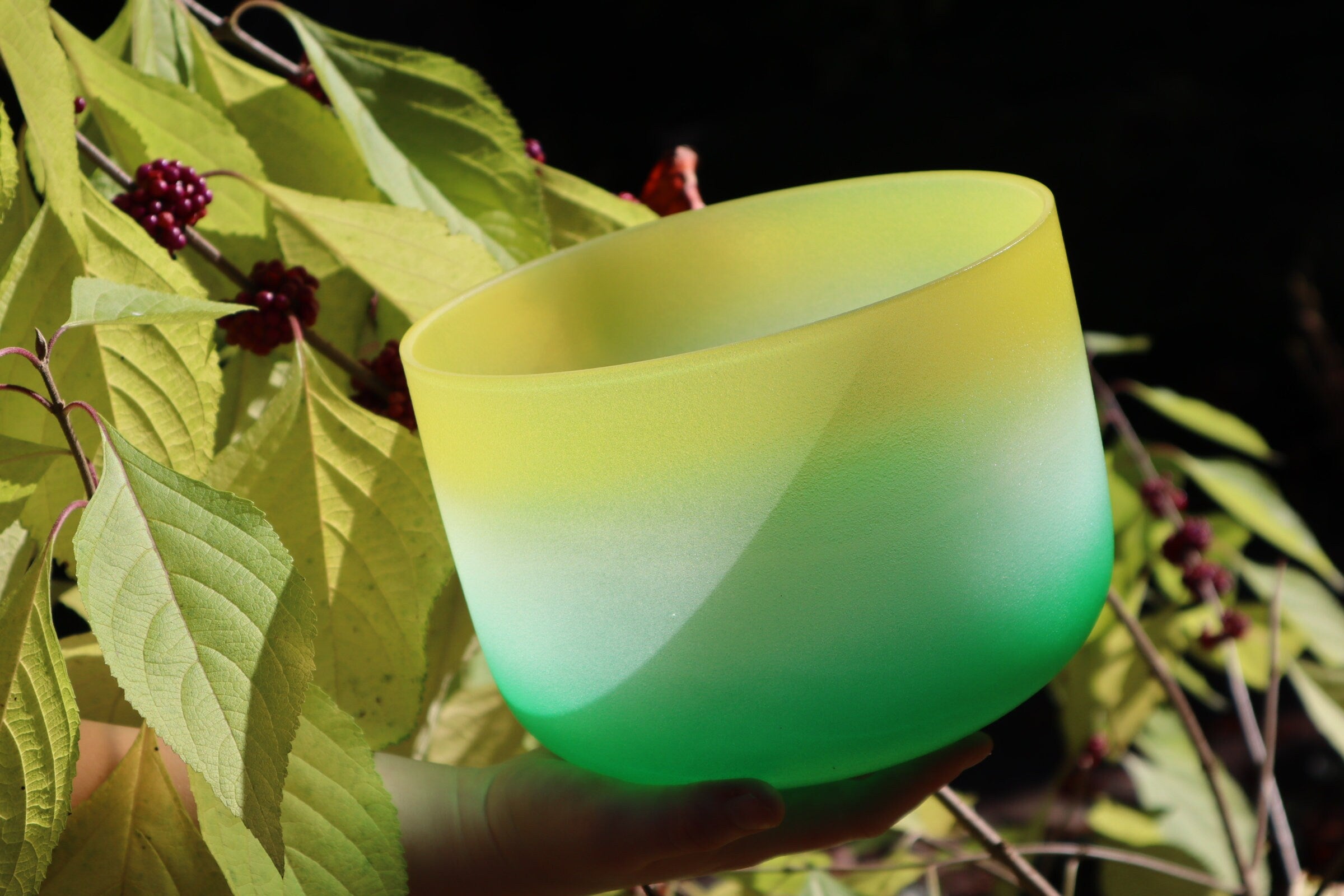 Lemongrass Singing Bowl & 528 Hz Solfeggio Tuning Fork Set with Solar Plexus & Crown Chakra Bowls - Includes Mallet, O-Ring & Carry Case for Meditation, Sound Healing & Chakra Balancing