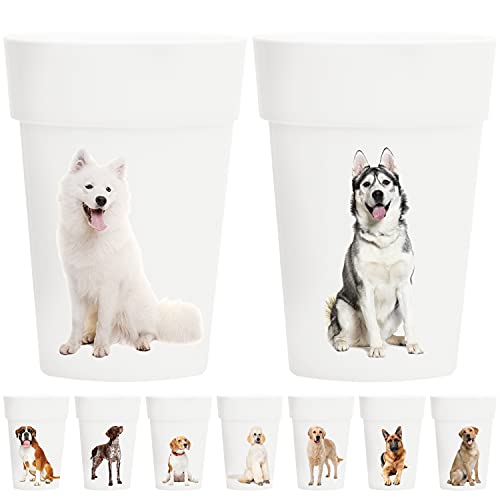 Dog Theme
