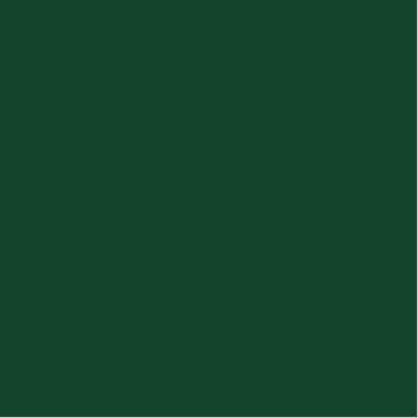 Pine Shadow