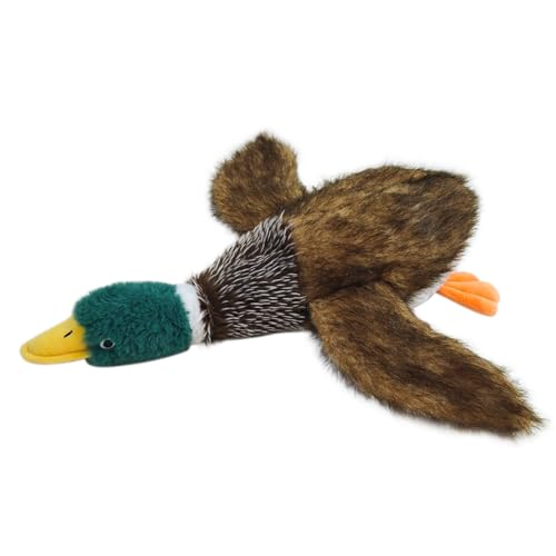 Mallard