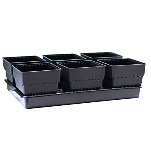 Black Tray + 6 Black Pots