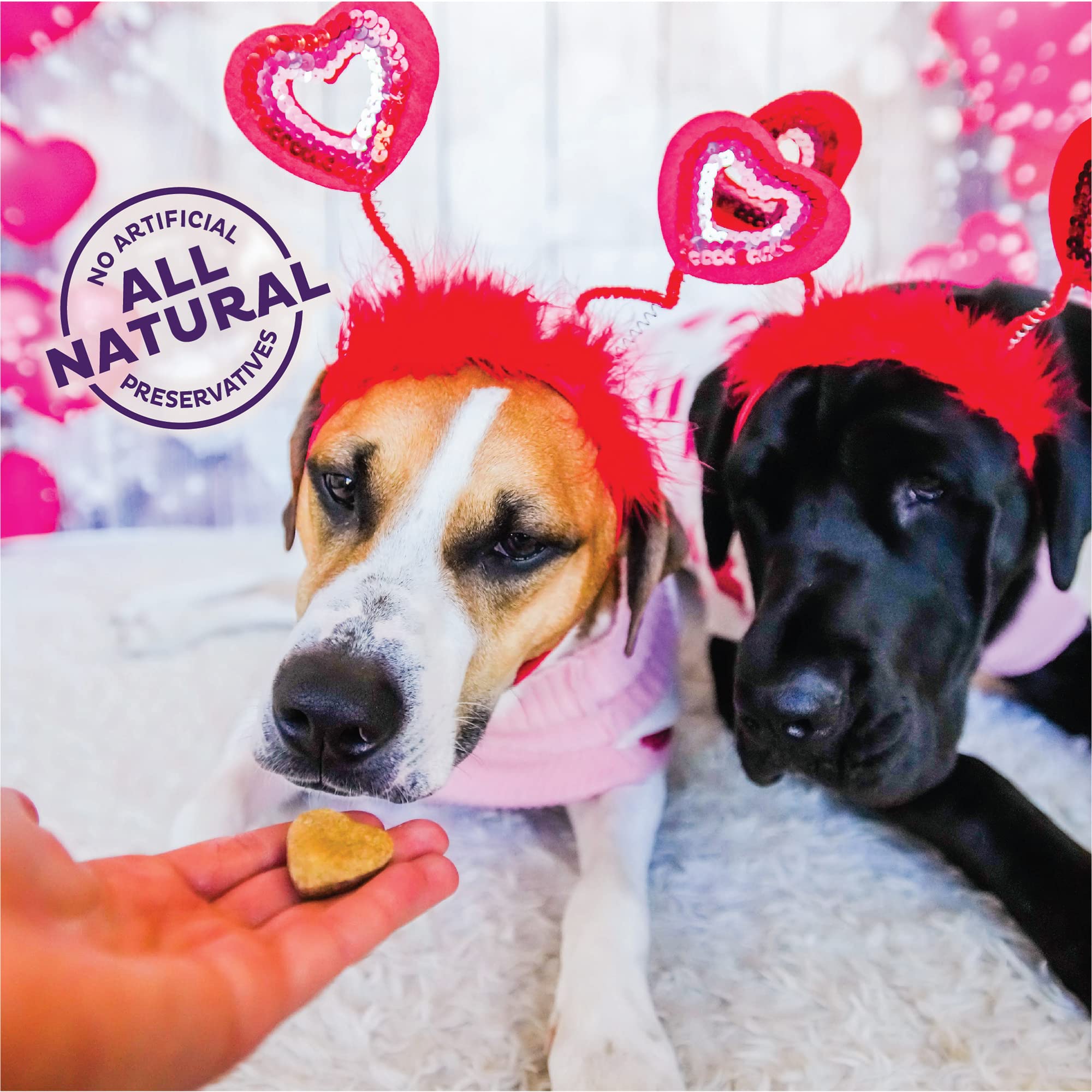Old Mother Hubbard Wellness Bits of Love P-Nuttier Natural Peanut Butter Dog Treats - 6oz Bag | Healthy Valentine's Day Dog Biscuits | Grain-Free Training Rewards for Small & Large Dogs | Perfect for Special Occasions, Birthday Gifts & Daily Snacks