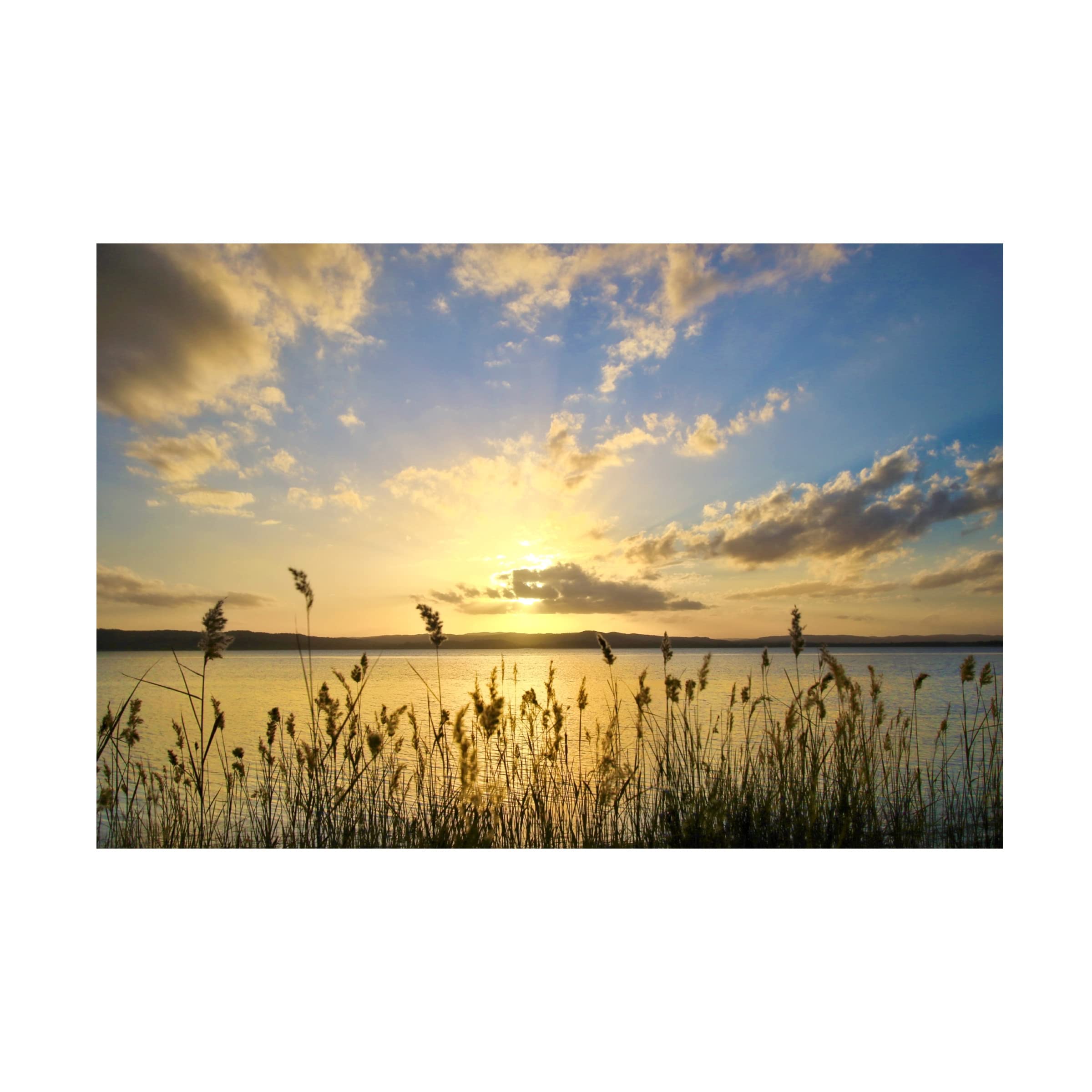 Summer Skies Canvas Wall Art by Beata Czyzowska - Handmade Landscape Painting for Living Room, Bedroom & Office Decor - Trademark Fine Art Collection