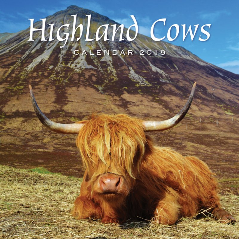 2024 Highland Cows Wall Calendar - Scottish Cattle with Scenic Landscapes | Perfect for Home, Office Decor & Cow Lovers Gift (12