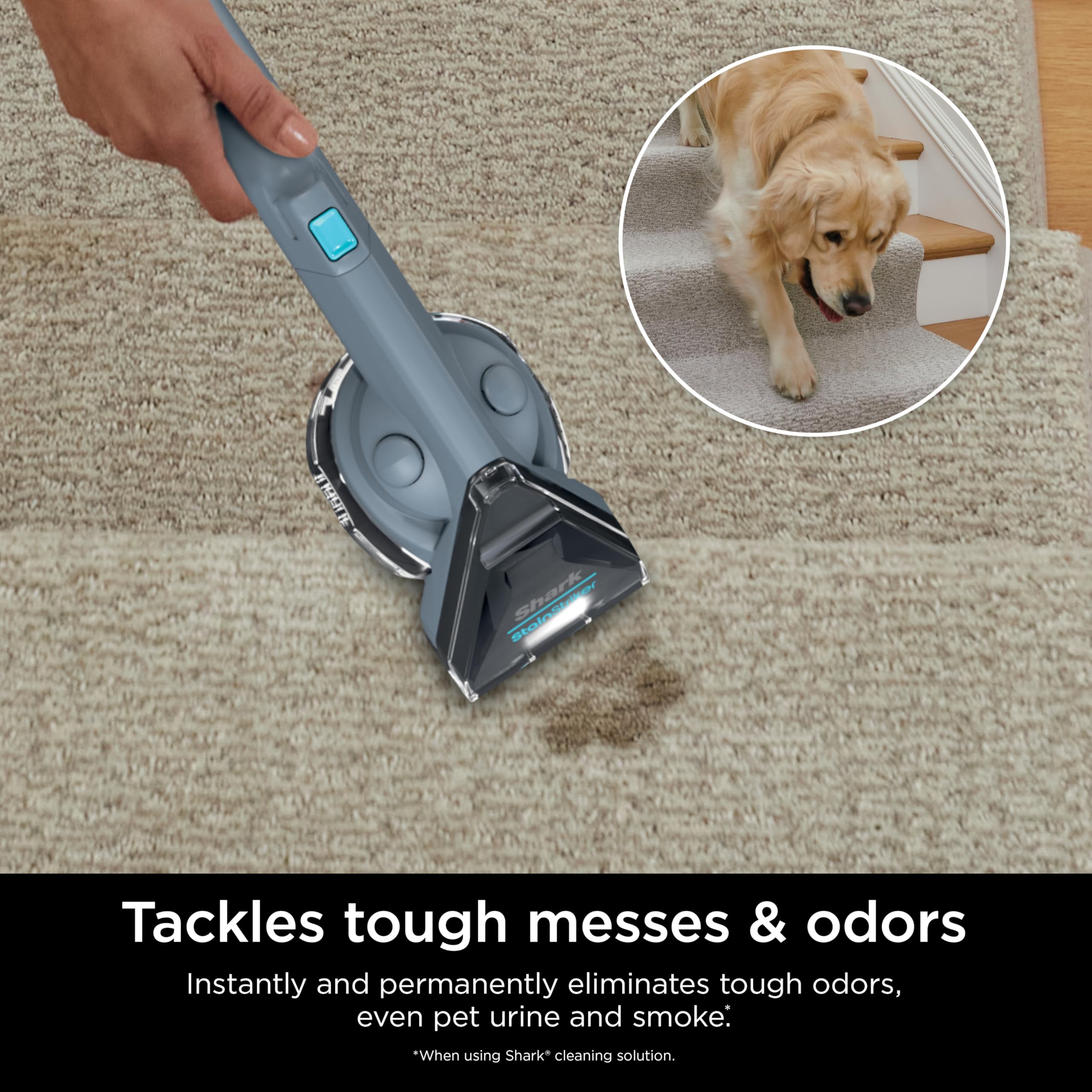 Shark Portable Carpet Cleaner Machine | Upholstery & Stain Remover for Pet Hair, Spots & Odors | Includes 2 Cleaning Solutions & 4 Tools | Ideal for Couches, Area Rugs & Home Cleaning | Nordic Blue (PX202BRN)