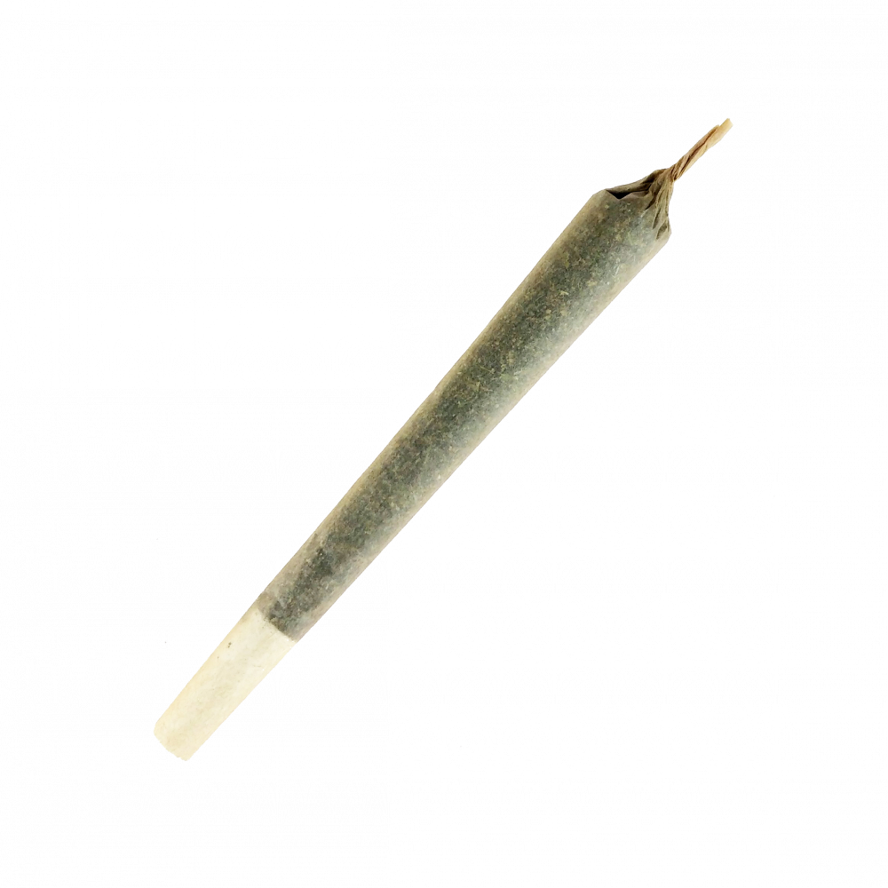 Organic Catnip Sticks for Cats - Meowijuana King Catnibas Joints - Fun & Relaxing Treat for Indoor & Outdoor Play