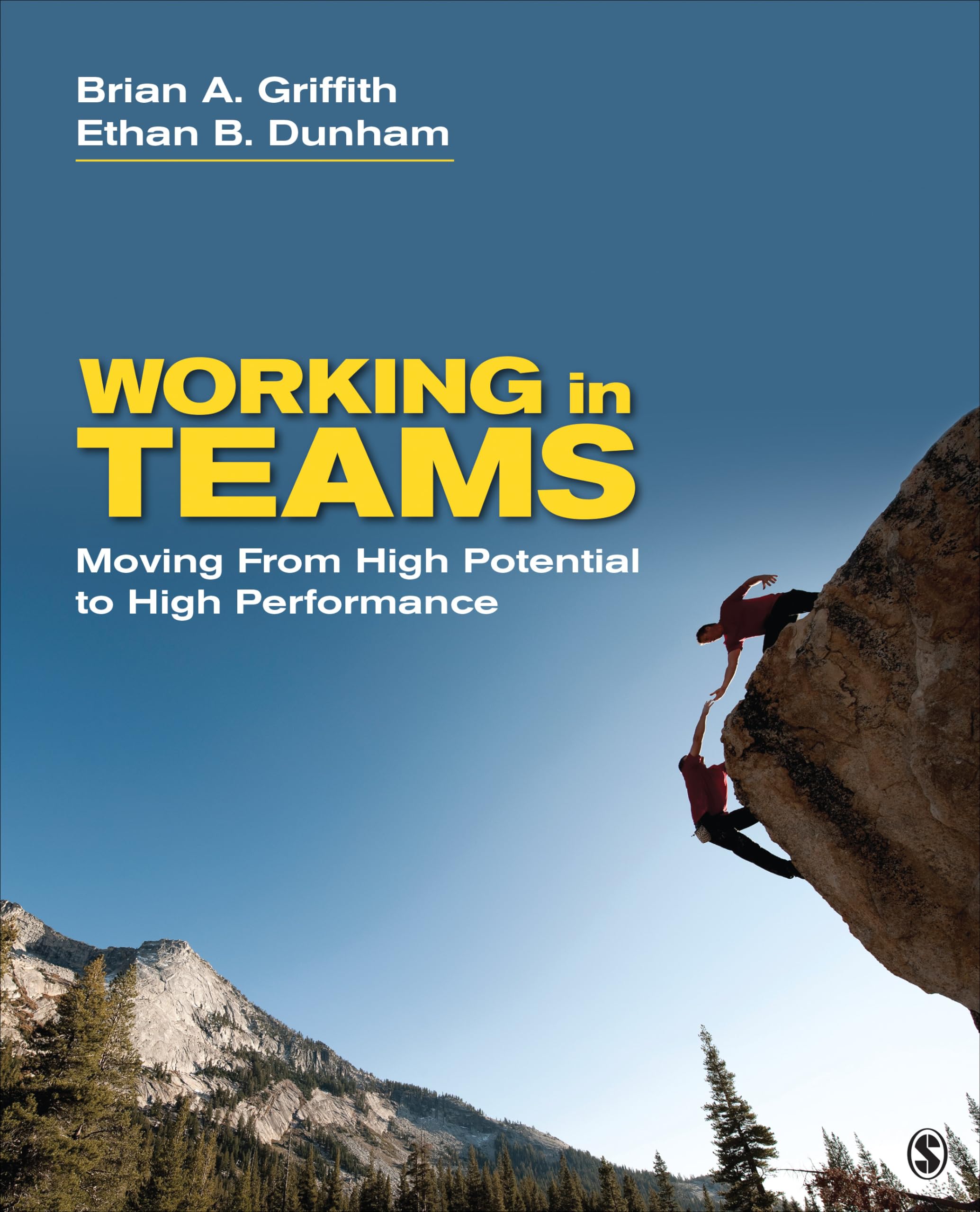 Working in Teams: Moving From High Potential to High Performance - Leadership Book for Business Professionals | Team Building Strategies for Workplace Success
