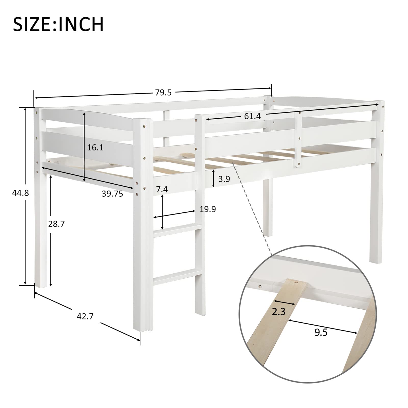 Bellemve Low Loft Bed Twin Size - Sturdy Wooden Loft Bed Frame with Ladder for Kids, Teens, Boys & Girls - Space-Saving White Bedroom Furniture for Small Rooms, Dorms & Apartments