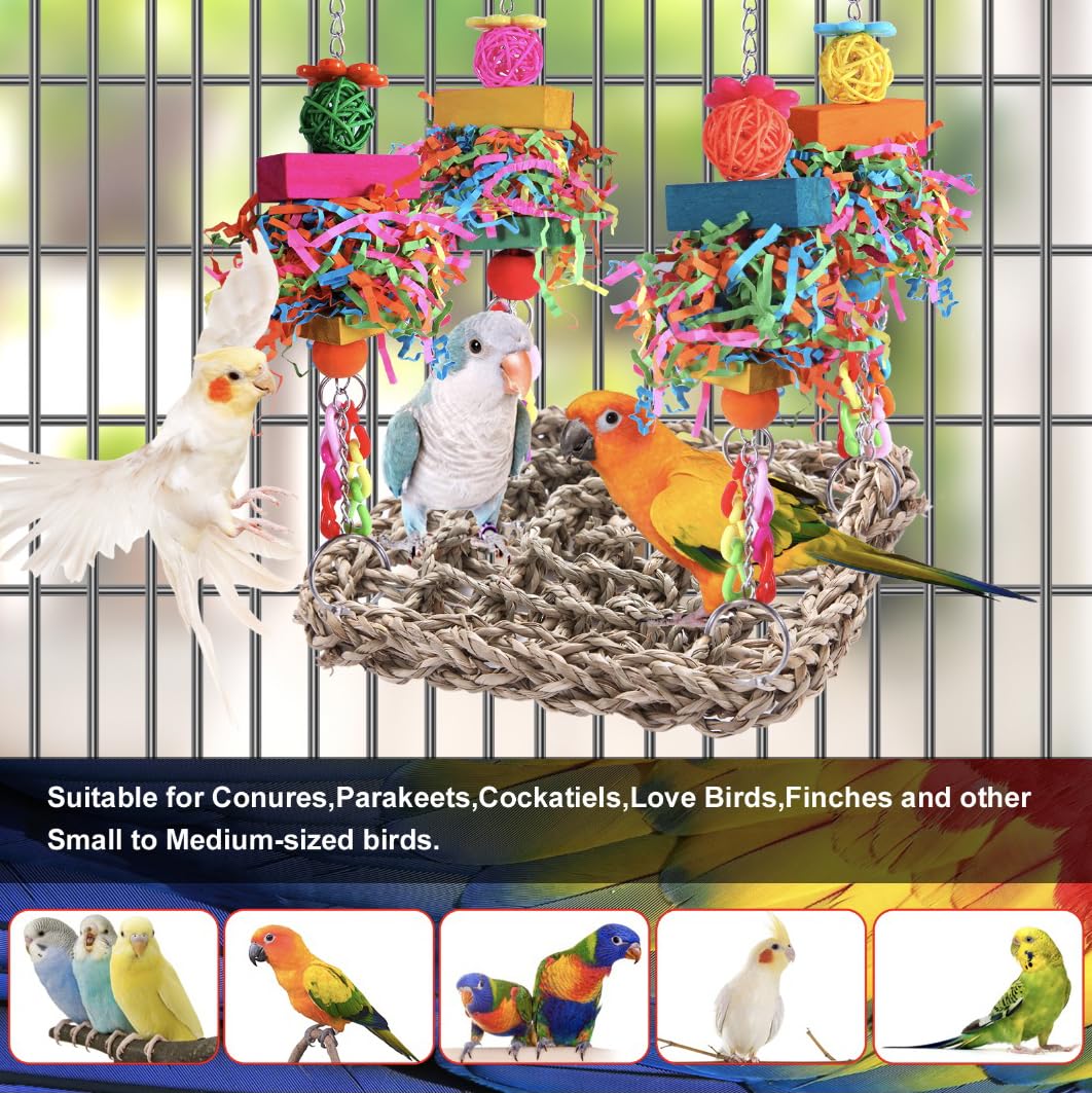 Parakeet Toys for Small Birds - Seagrass Woven Hammock Swing & Foraging Wall for Lovebirds, Cockatiel, Budgie - Bird Cage Accessories for Play & Relaxation - Perfect for Bird Cages, Aviaries & Pet Play Areas