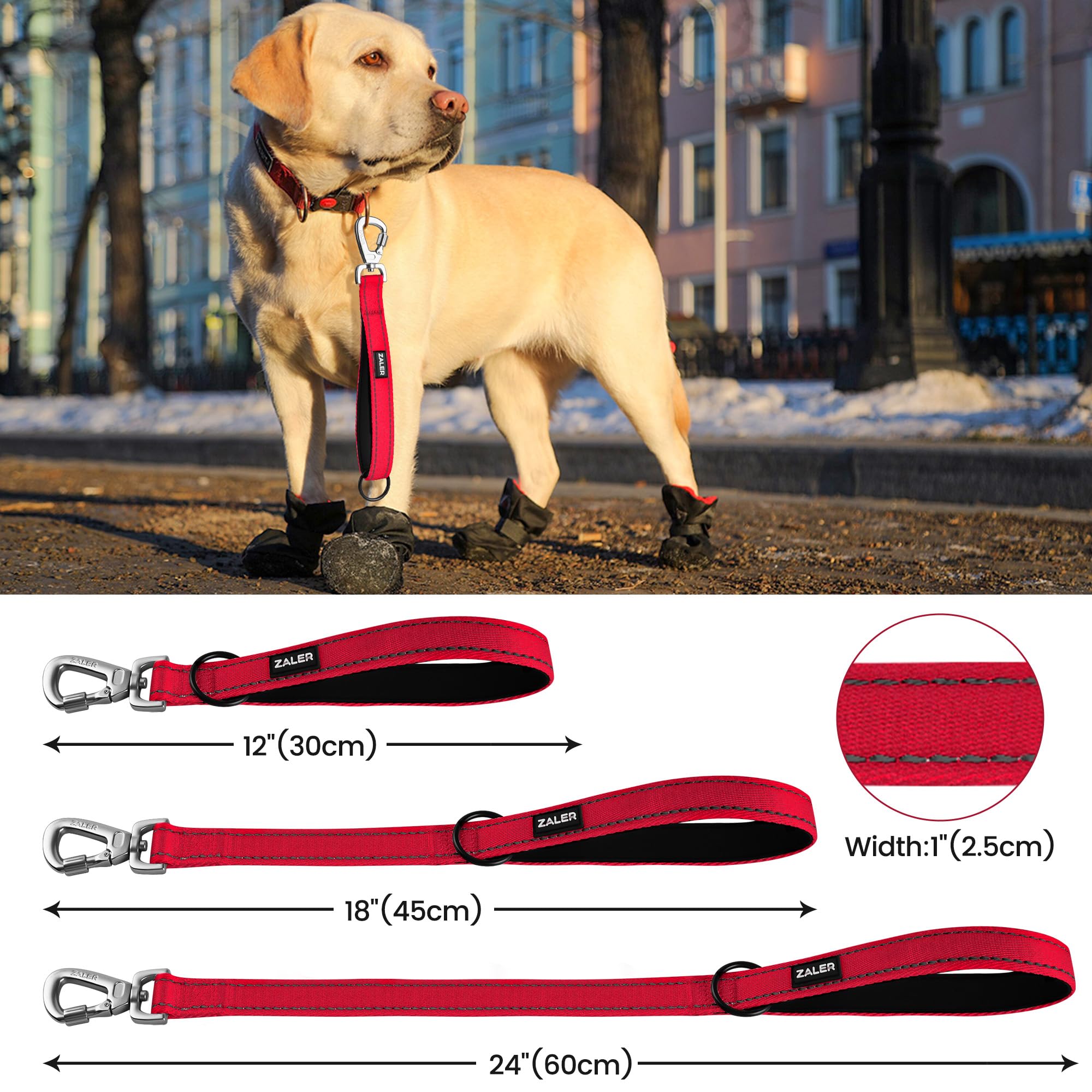 ZALER 2 ft Reflective Nylon Dog Leash with Padded Handle & Carabiner Clip - Heavy Duty 24 Inch Pet Lead for Large & Medium Dogs - Perfect for Walking, Running & Nighttime Safety (Red)
