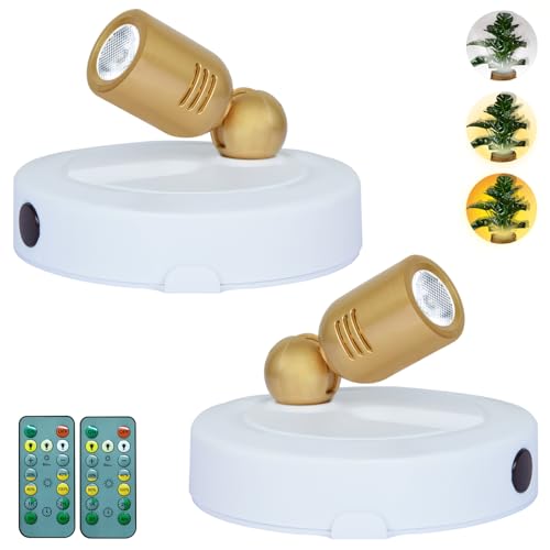 White-Gold-3CCT