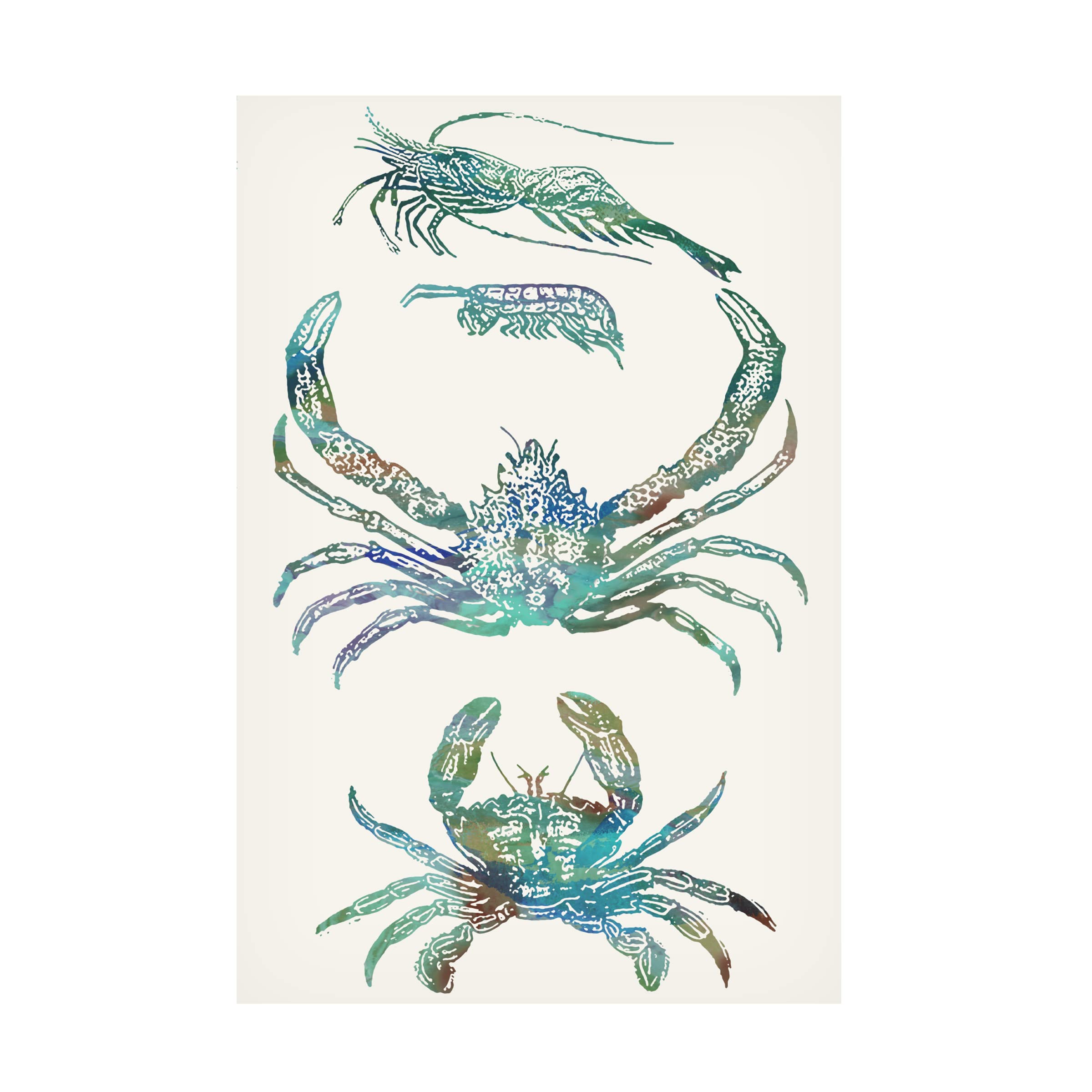 Sharon Chandler 'Aquatic Assemblage VIII' Canvas Wall Art Print - Modern Ocean Themed Painting for Living Room, Bedroom & Office Decor