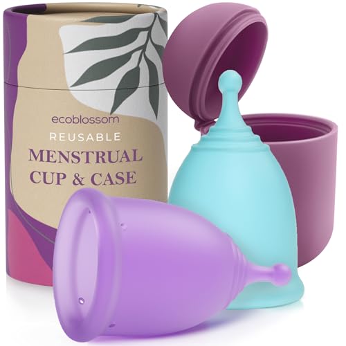 Large (Pack of 2) With Case