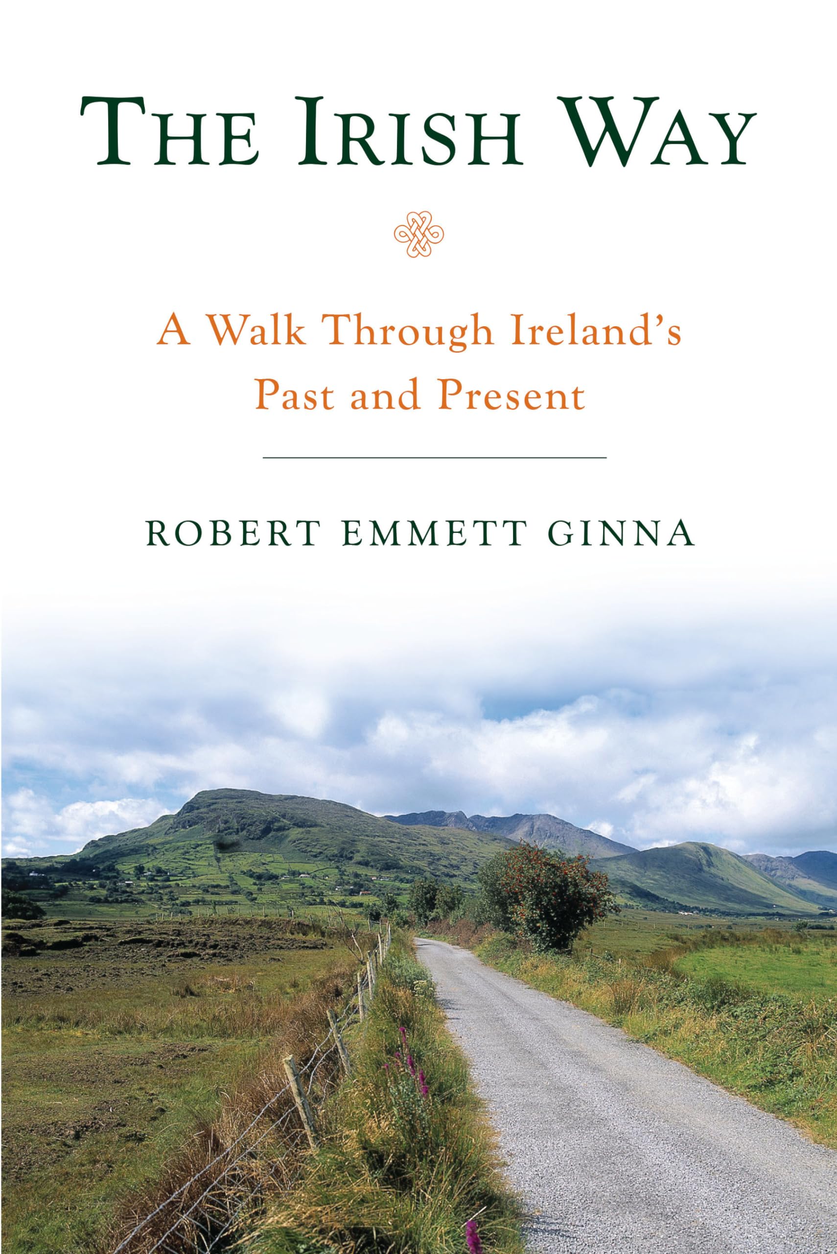 The Irish Way: A Walk Through Ireland's Past and Present - Explore Irish History & Culture | Perfect for Travelers & History Enthusiasts